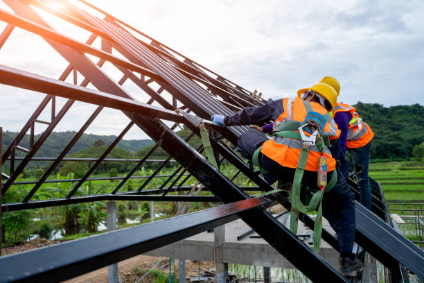 Best Local Roofing Companies  in West Point, NE