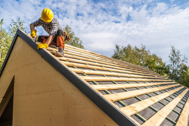 Best Storm Damage Roof Repair  in West Point, NE