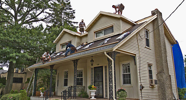 Best Metal Roofing Contractor  in West Point, NE